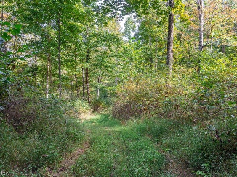 Lew Marten Road, Summerfield, OH 43788 Photo 41