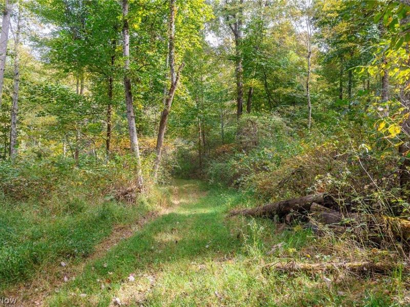 Lew Marten Road, Summerfield, OH 43788 Photo 42