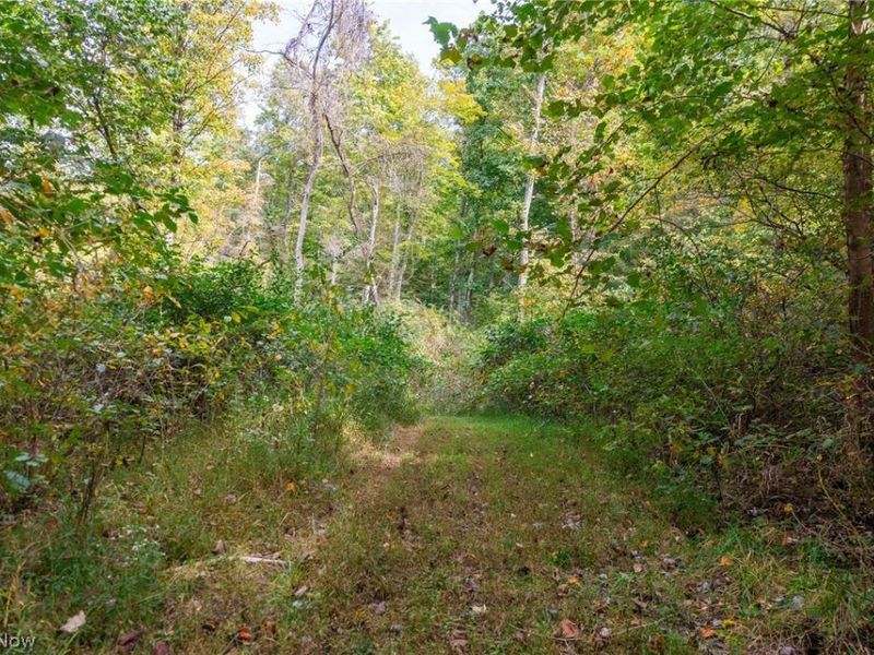 Lew Marten Road, Summerfield, OH 43788 Photo 43