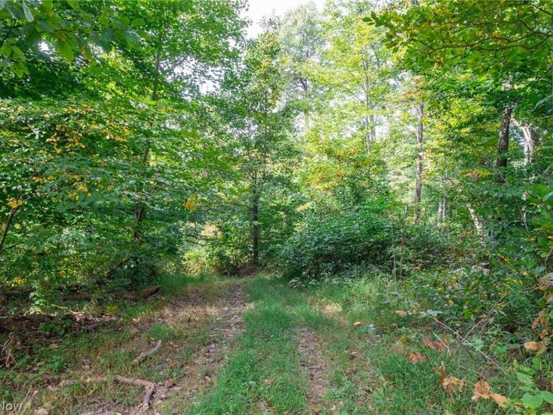Lew Marten Road, Summerfield, OH 43788 Photo 45