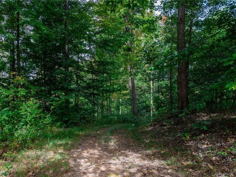 Lew Marten Road, Summerfield, OH 43788 Photo 46