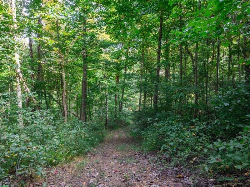 Lew Marten Road, Summerfield, OH 43788 Photo 47