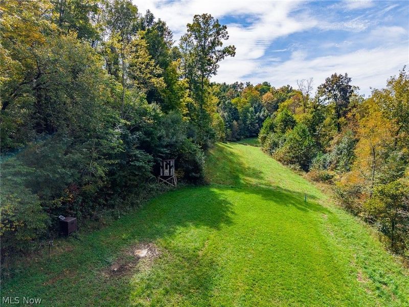Lew Marten Road, Summerfield, OH 43788 Photo 5