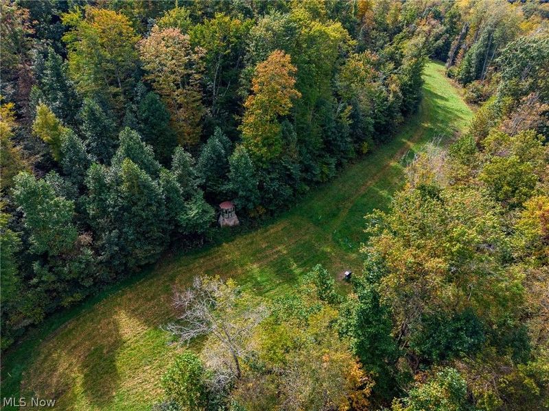 Lew Marten Road, Summerfield, OH 43788 Photo 6