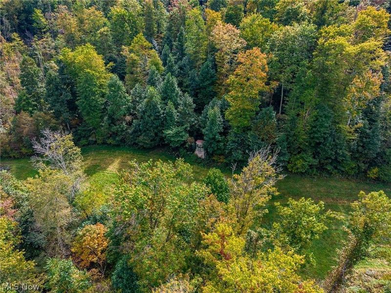 Lew Marten Road, Summerfield, OH 43788 Photo 7