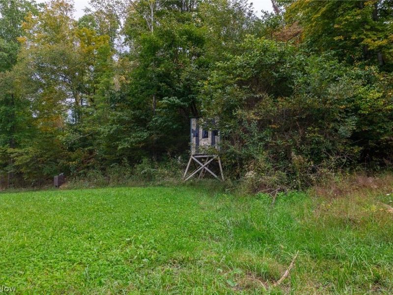 Lew Marten Road, Summerfield, OH 43788 Photo 8