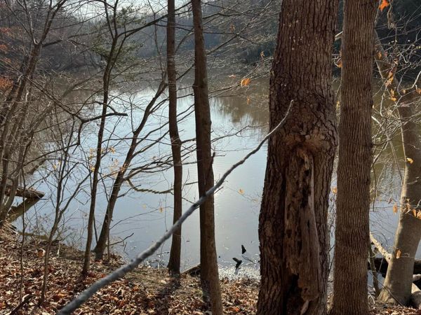 Lot 26 Poplar DR , Hardy, VA 24101