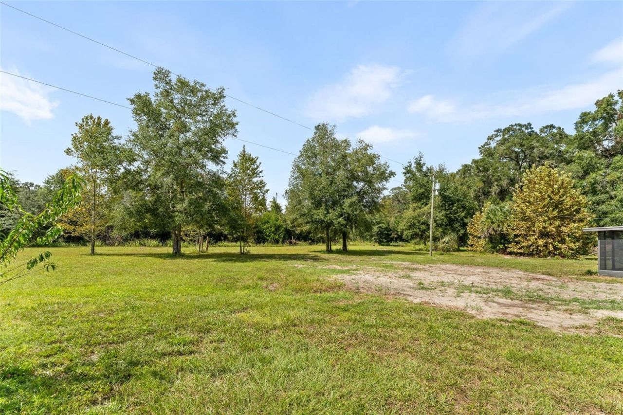 7920 NE Highway 41 , Williston, FL 32696 Photo