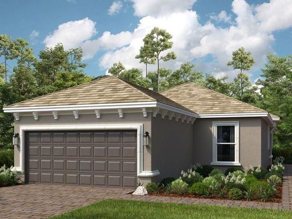 3907 IMMACOLATA WAY , WESLEY CHAPEL, FL 33543