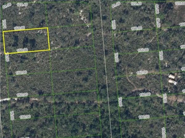 659 BUCHANAN STREET, LAKE PLACID, FL 33852