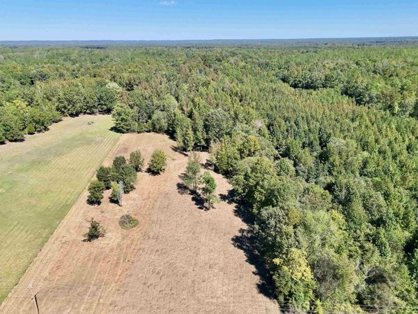 00 PEA VINE RD S, Middleton, TN 38052