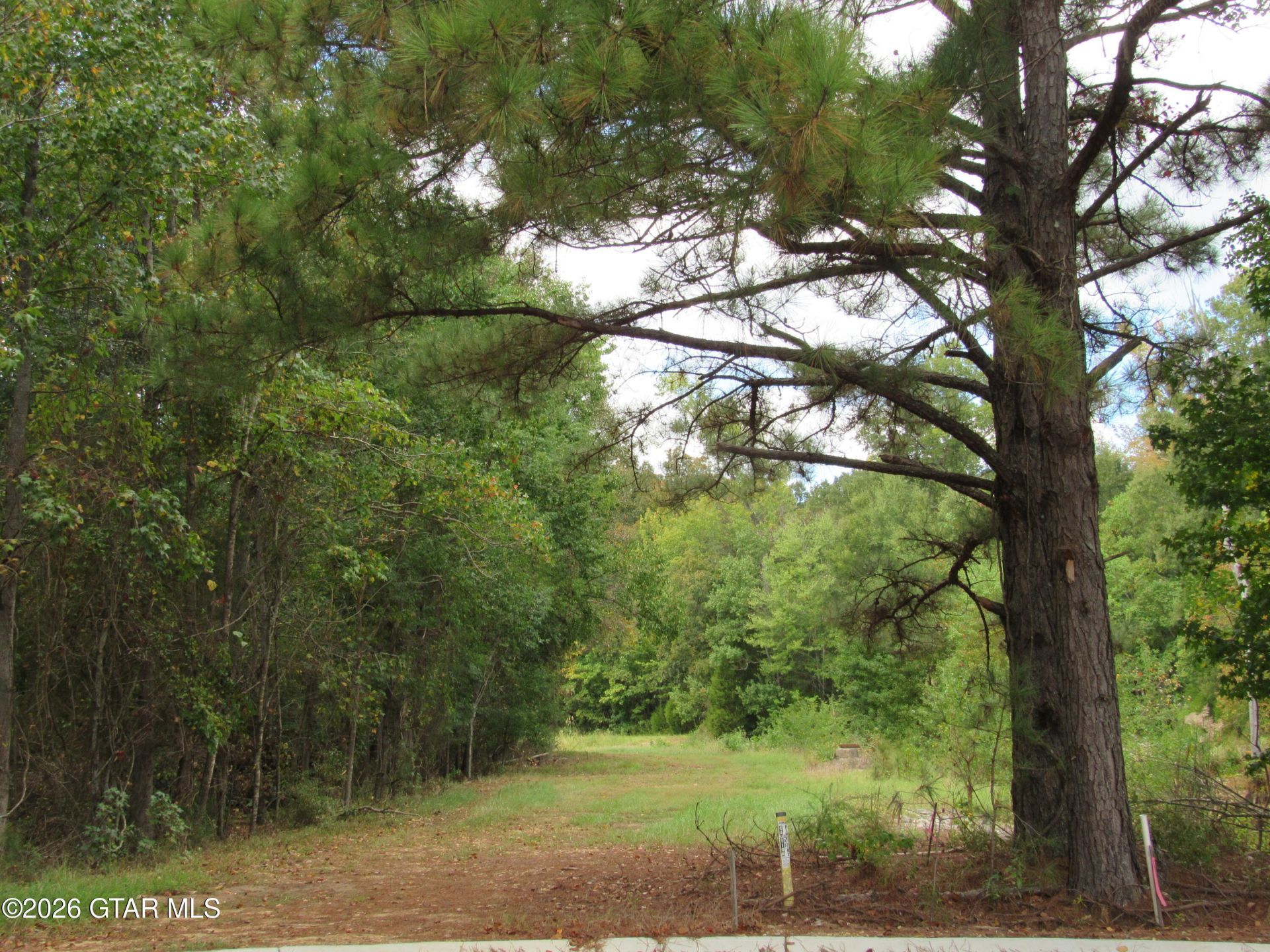 0 Montrose Boulevard, Columbus, MS 39702 Main Photo