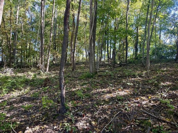 0 Washington, Hillsboro, OH 45133
