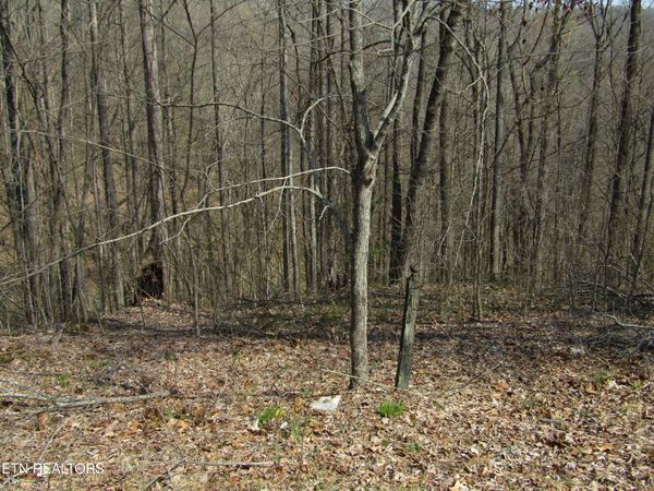 Lot 28 Hunters S Landing Lane , Smithville, TN 37166