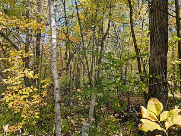 TBD Lot 2 Bunny Lane , Crosby, MN 56441