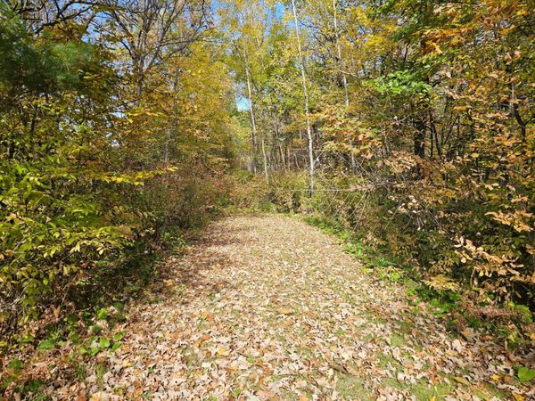TBD Lot 1 Bunny Lane , Crosby, MN 56441