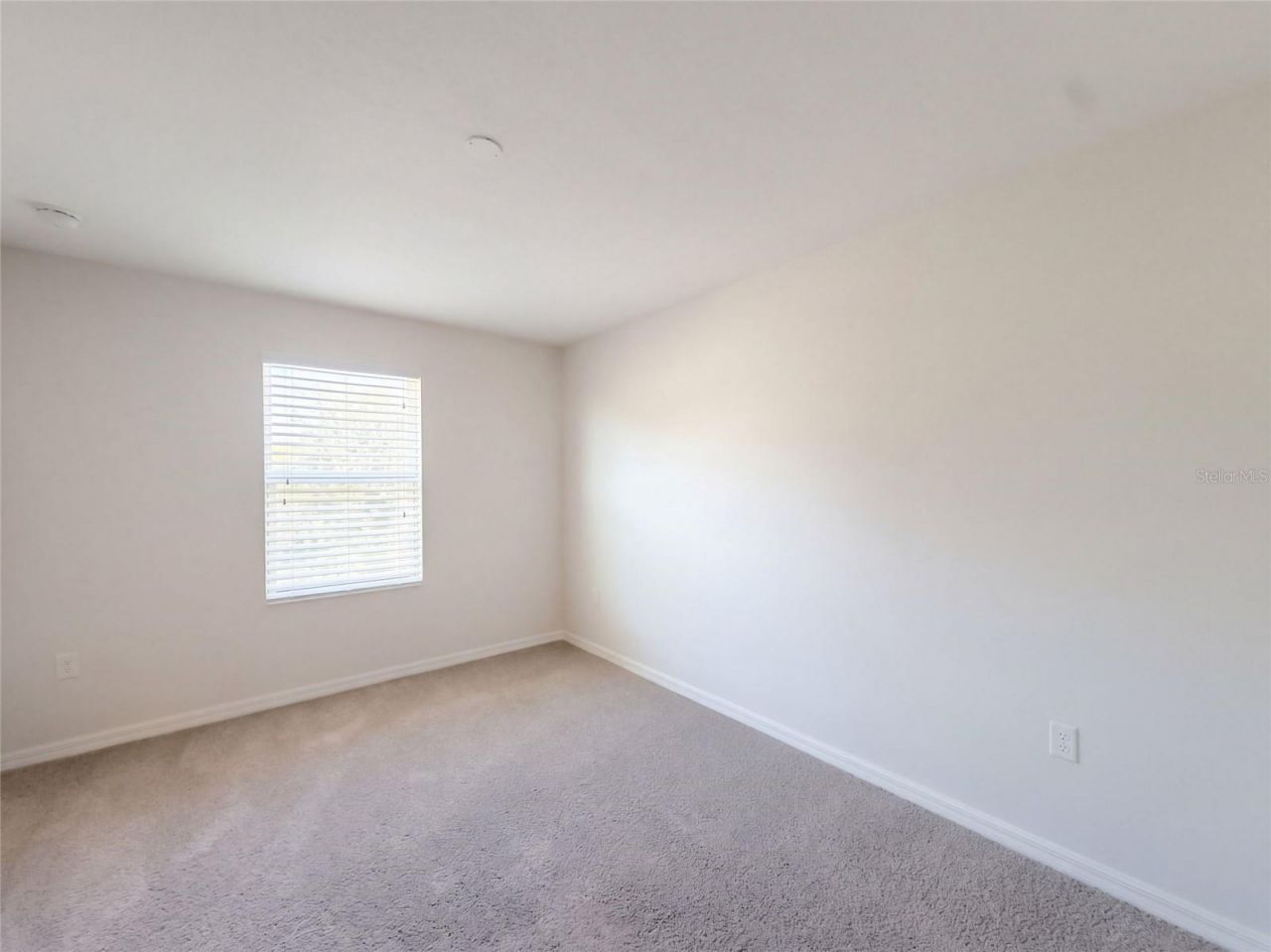 7607 Tangle Rush Drive , Gibsonton, FL 33534 Photo