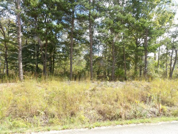 0 Williams Hollow Road , Waverly, TN 37185