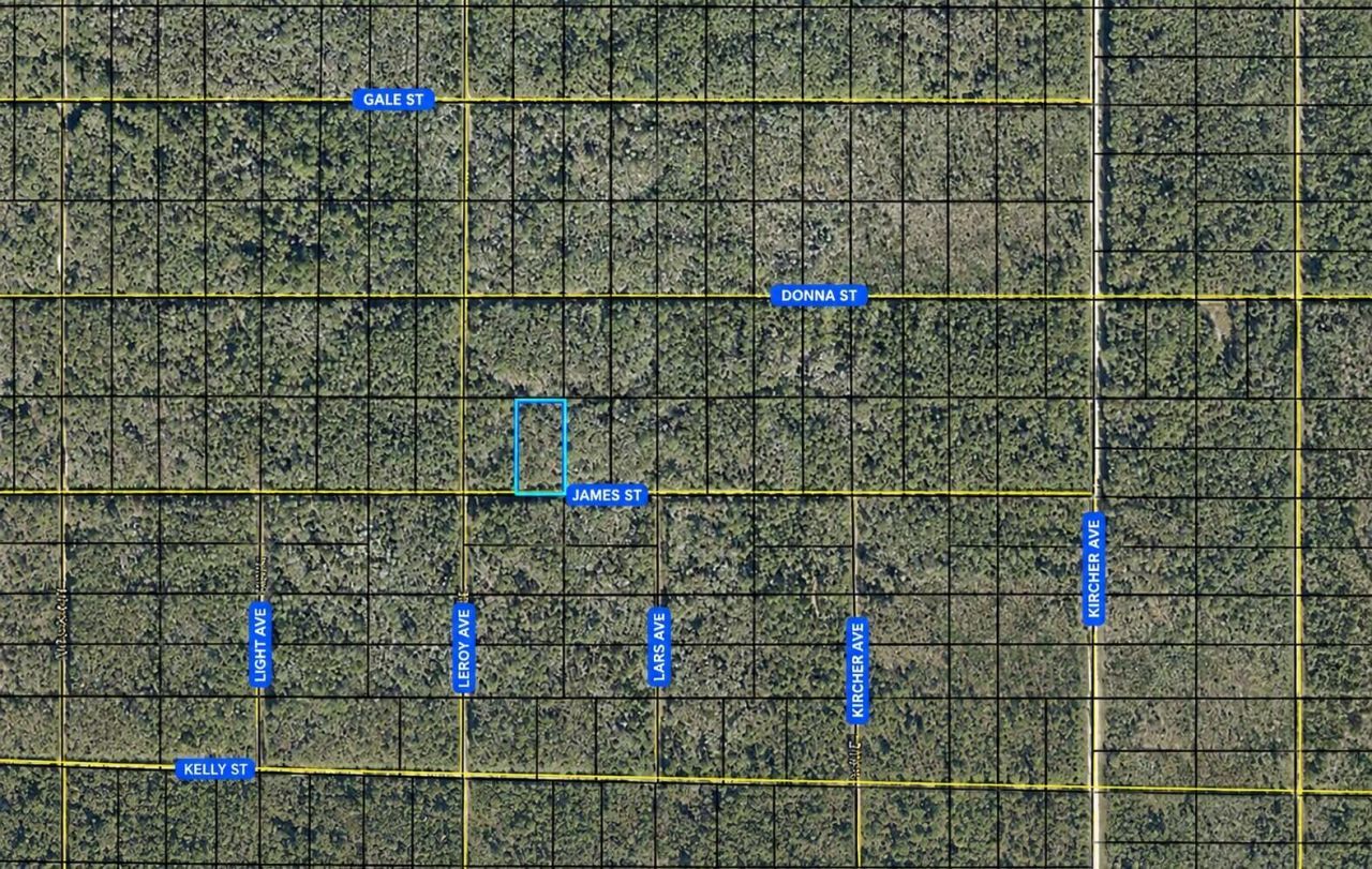 Tbd James, Hastings, FL 32145 Main Photo