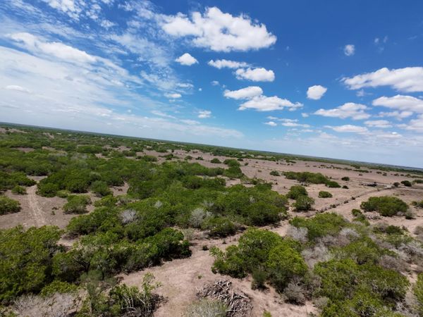 000 FM 534, Sandia, TX 78383