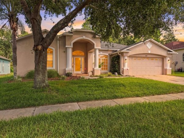 14617 EDGEMERE DRIVE , SPRING HILL, FL 34609