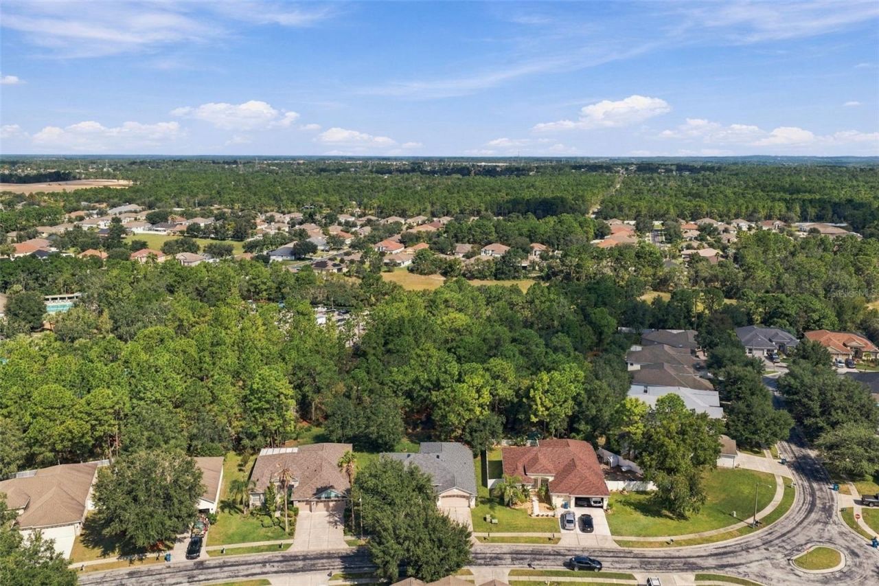 14617 Edgemere Drive , Spring Hill, FL 34609 Photo