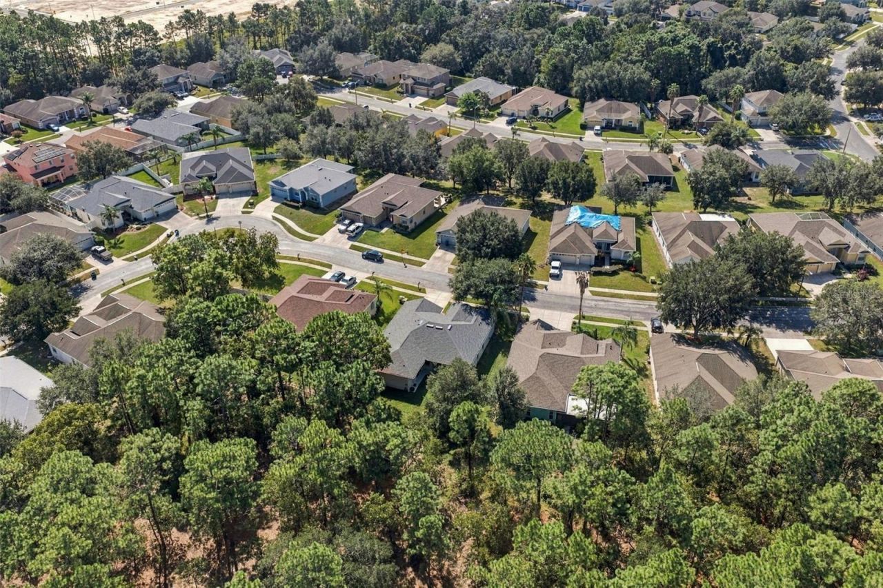 14617 Edgemere Drive , Spring Hill, FL 34609 Photo