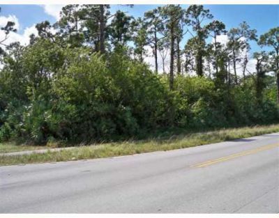 Xx Sycamore Drive W, Loxahatchee, FL 33470 Photo
