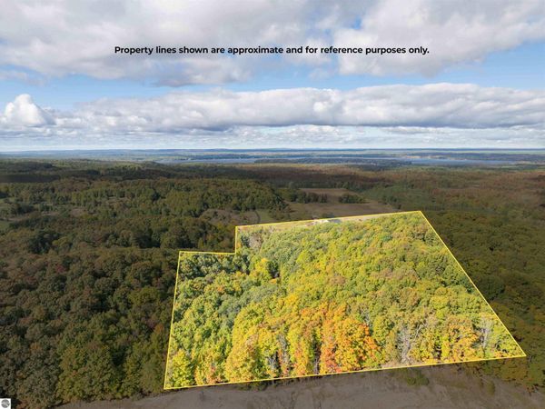 County Road 633, Grawn, MI 49637