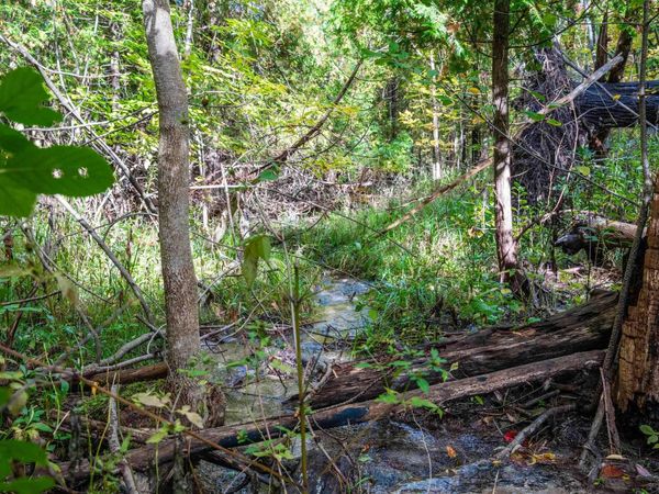 County Road 633, Grawn, MI 49637