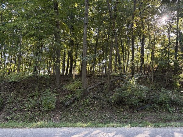 1549 Lake Wildwood Drive , Varna, IL 61375