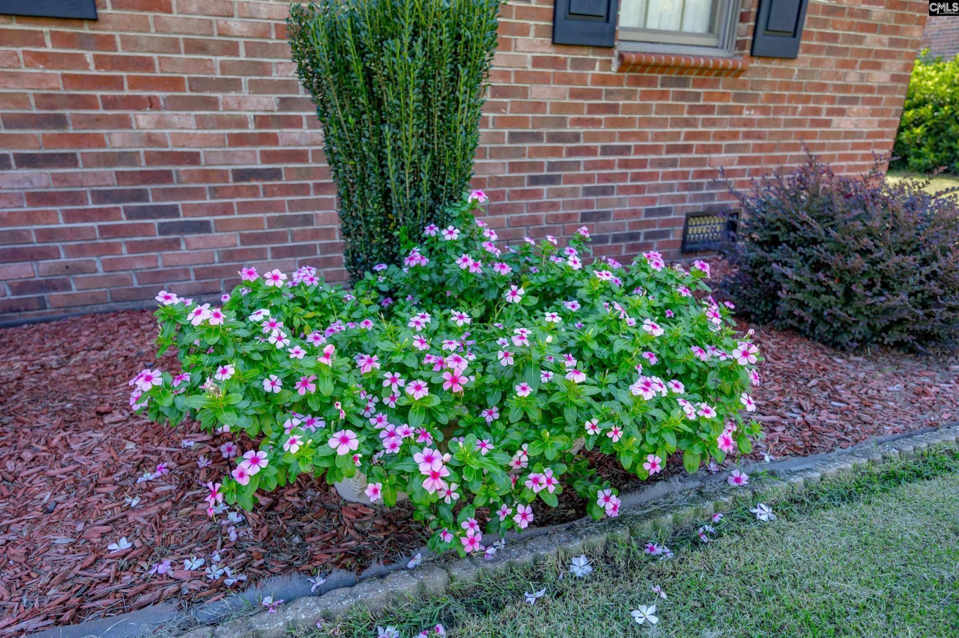 217 Tamwood Circle Photo 38