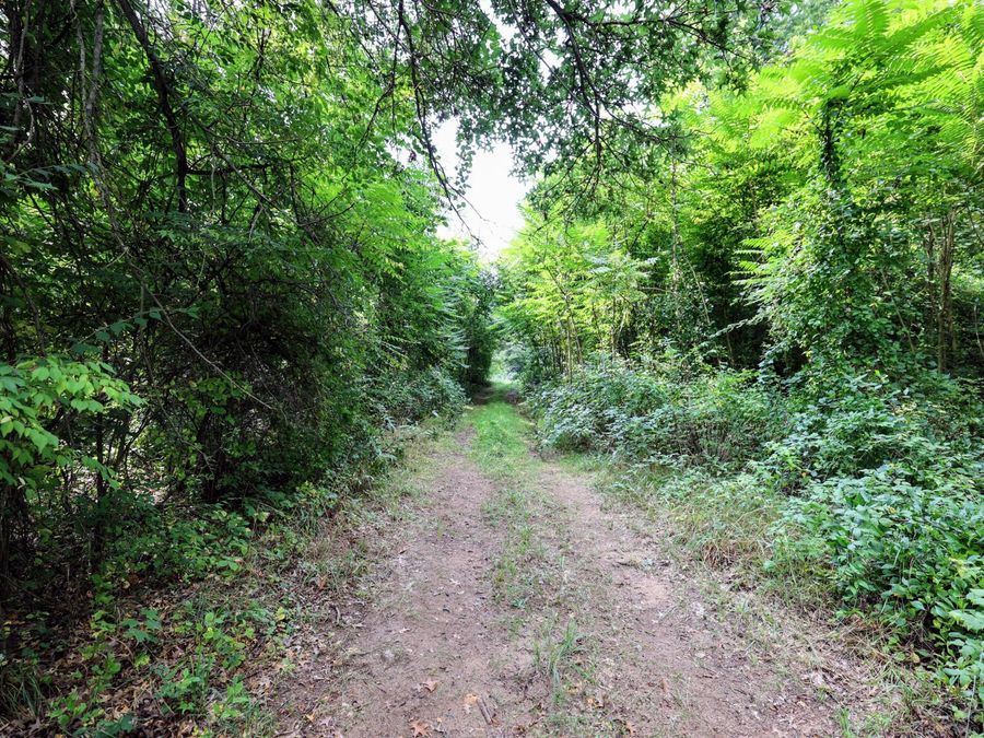 Property Image 43