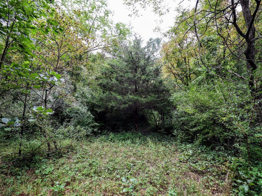 Property Image 63