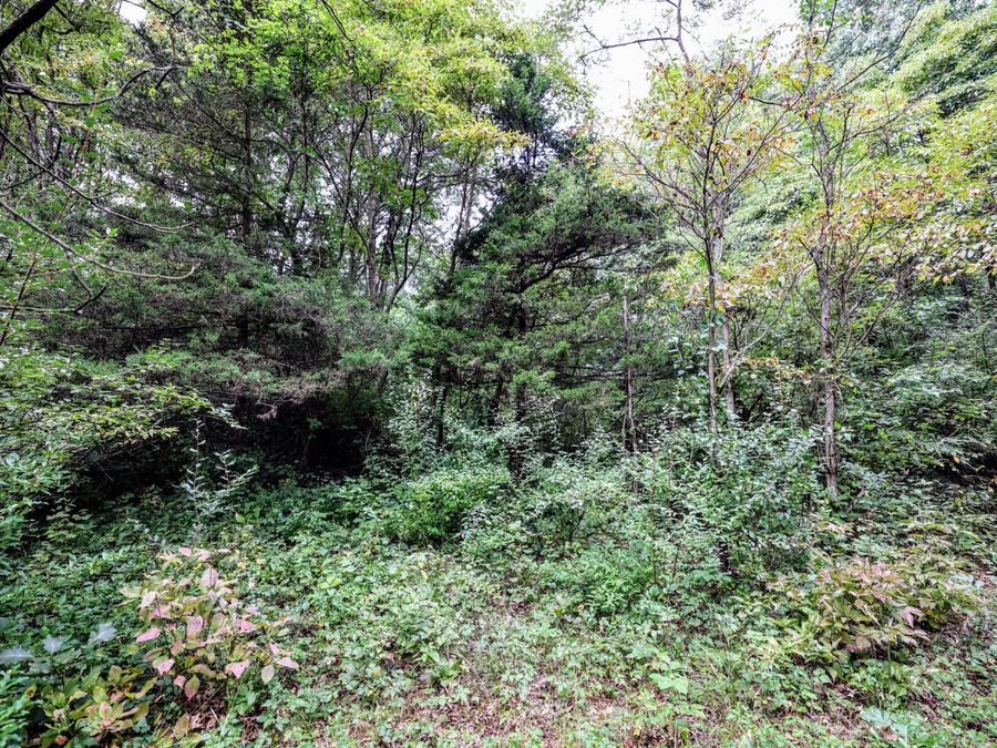 Property Image 65