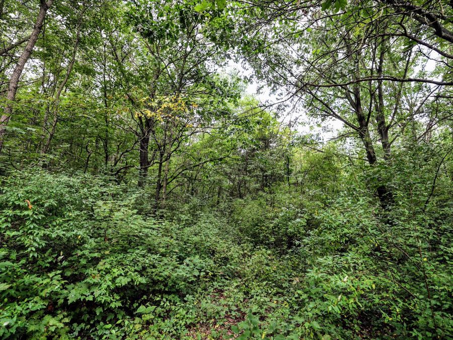 Property Image 67