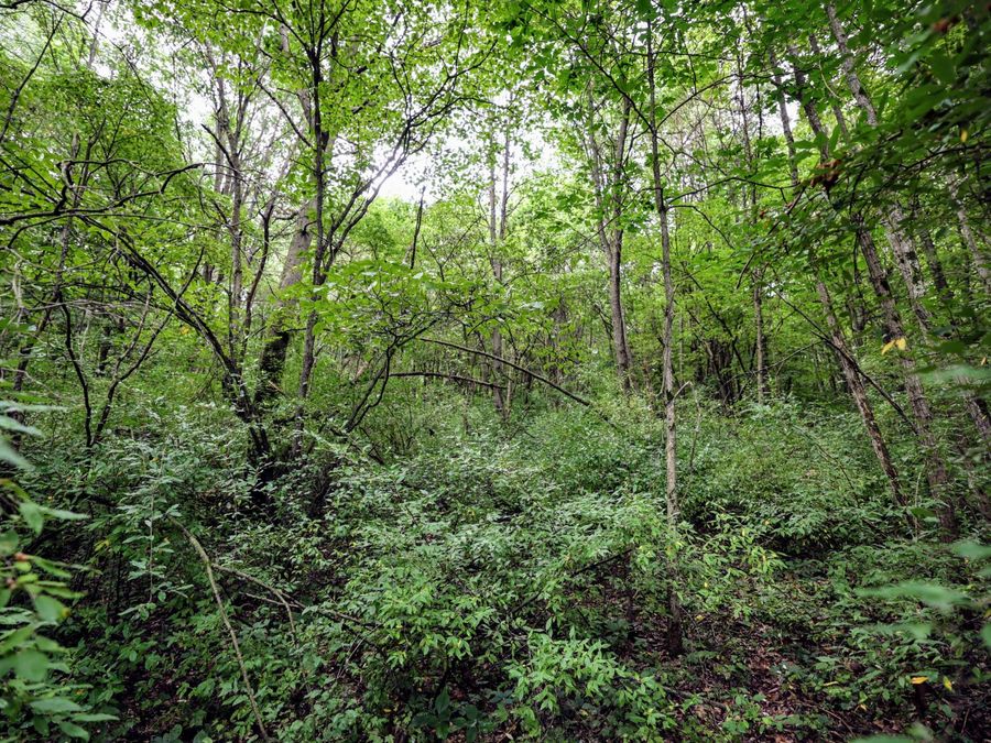 Property Image 74