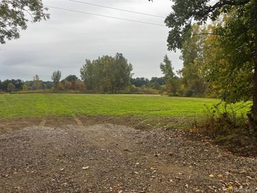 Parcel H Lothrop Road, Goodland Township, Mi 48444