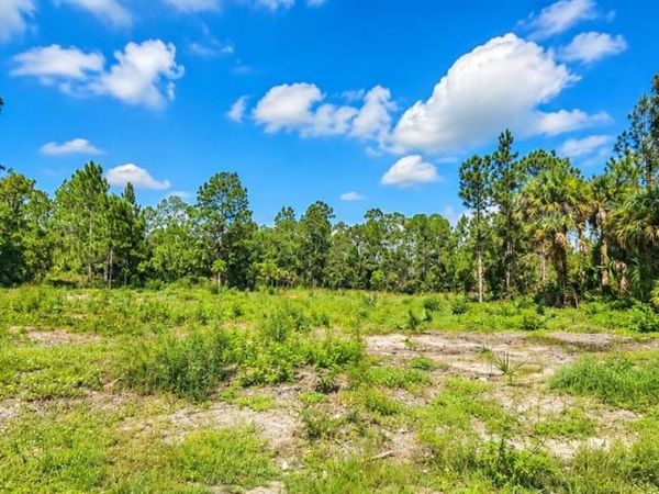 1221 ACACIA AVE, Lehigh Acres, FL 33972