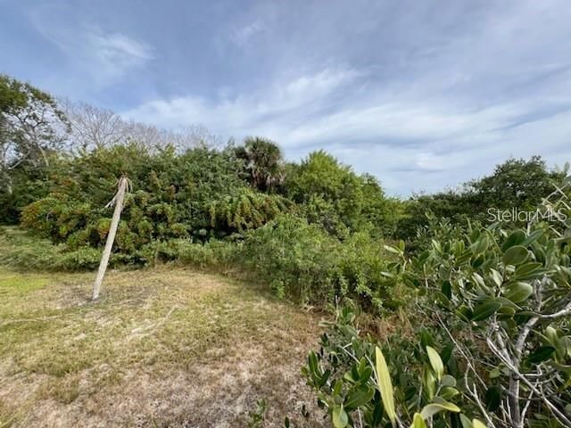 209 Inlet Shores Drive , New Smyrna Beach, FL 32168 Photo