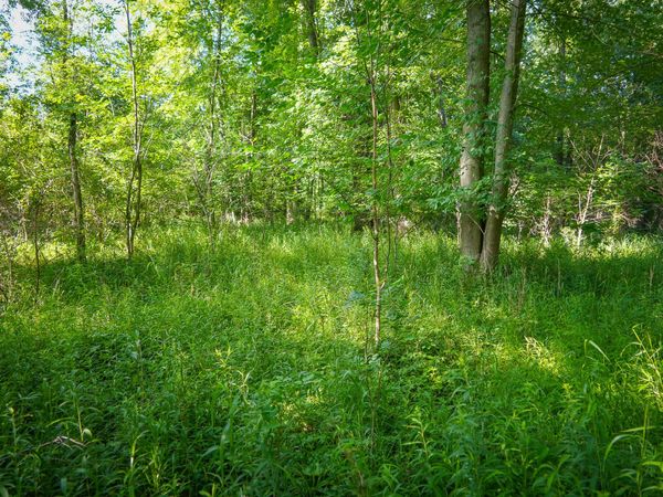 V/L 12A S 168th Avenue, Hesperia, MI 49421