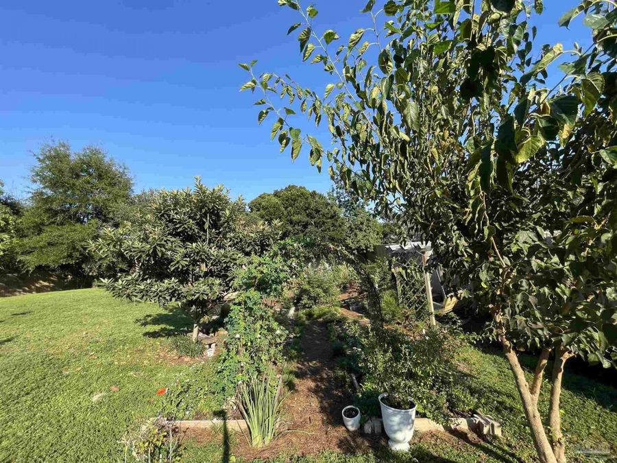 Property Image 59