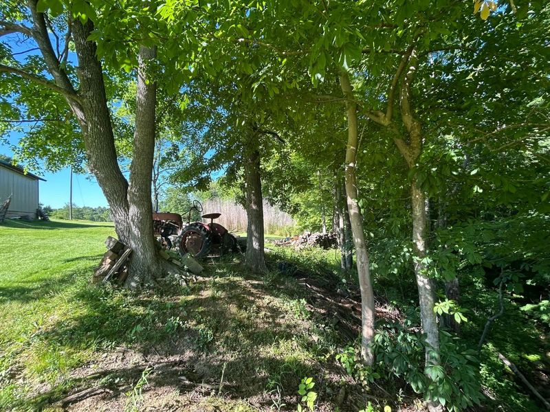 10113 Chestnut Street SE, Hemlock, OH 43730 Photo 17