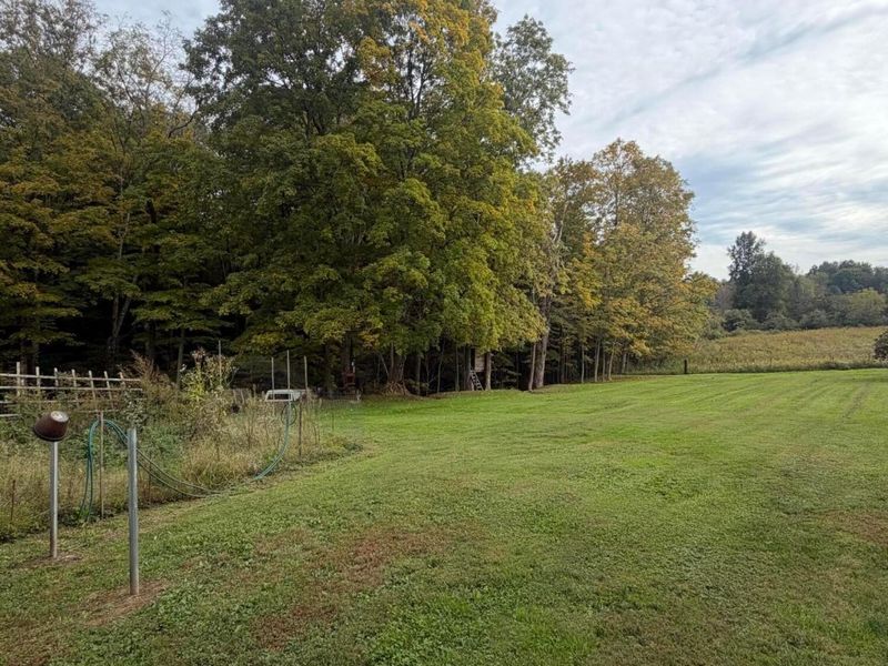 10113 Chestnut Street SE, Hemlock, OH 43730 Photo 6