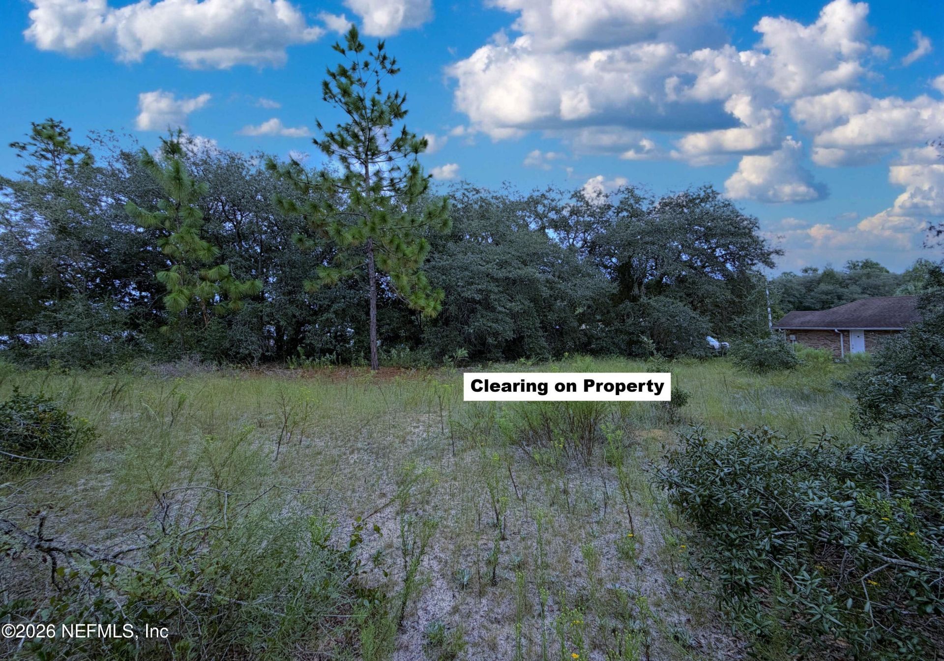 315 Rustic Road, Satsuma, FL 32189 Photo