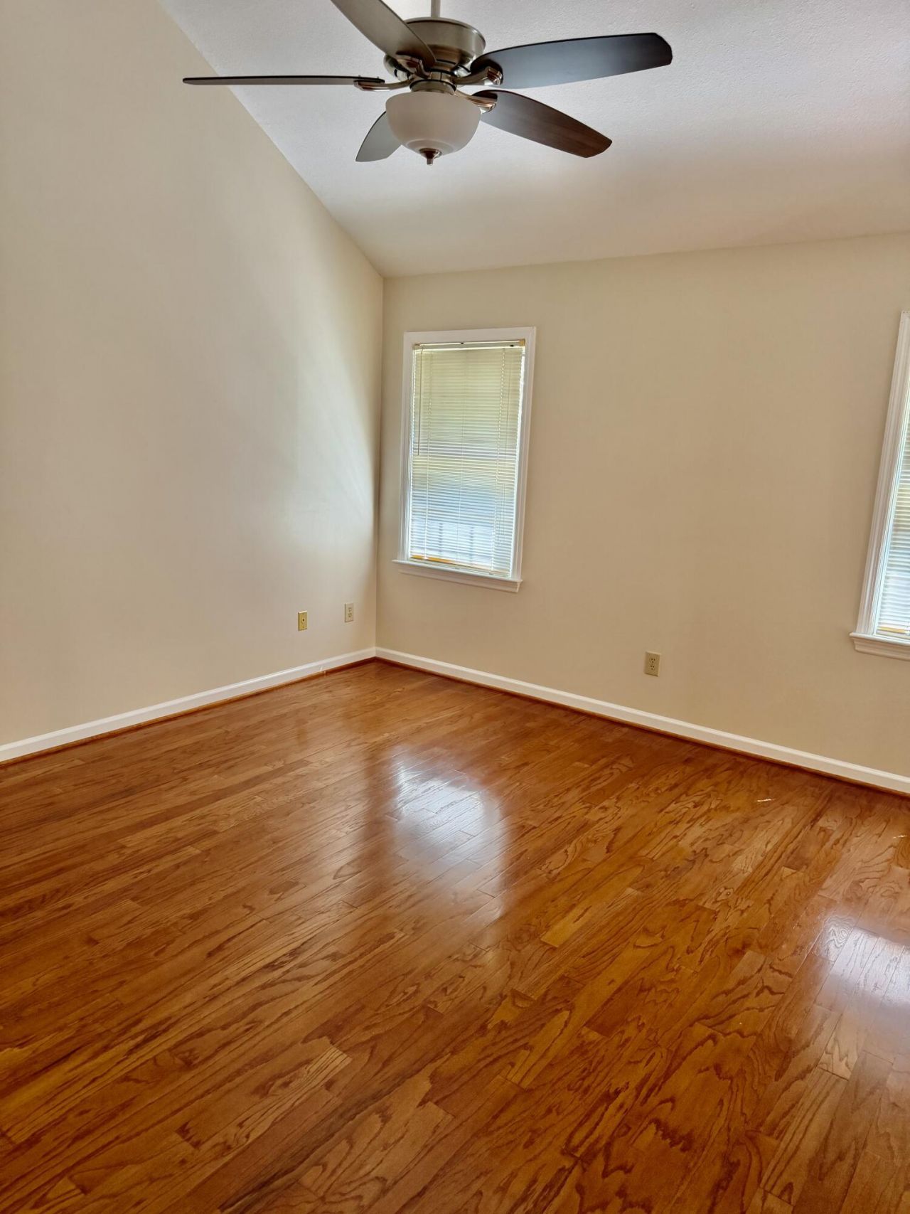 702 Black Oak Boulevard Photo 23
