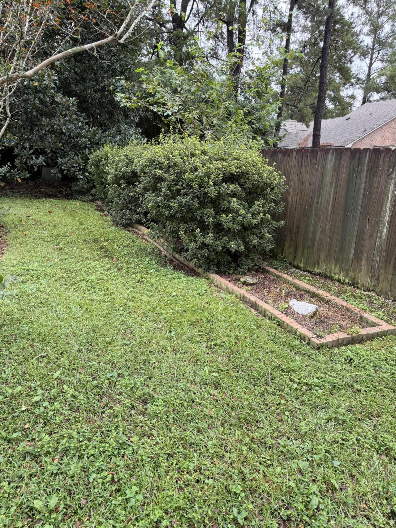 702 Black Oak Boulevard Photo 36