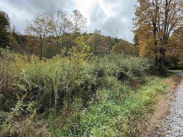 TBD Joes Run Road, Mannington, WV 26582