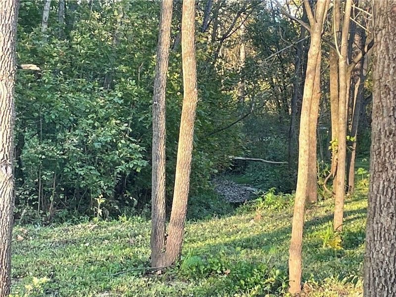Dudley Road, Caldwell, OH 43724 Photo 5