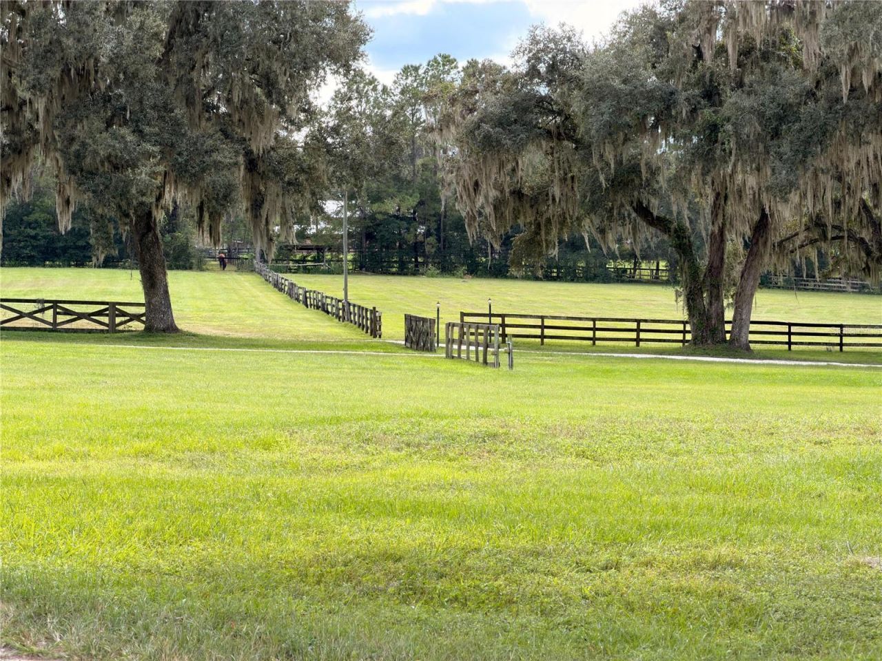 11501 NW 160th Avenue, Morriston, FL 32668 Photo